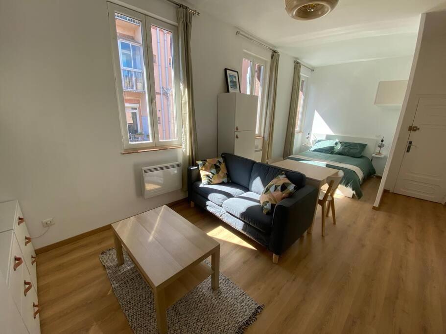 Appartement Le Petit Minimes Au Bord Du Canal Du Midi à Toulouse Extérieur photo