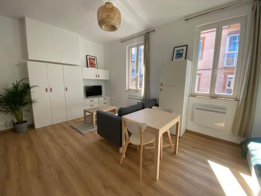 Appartement Le Petit Minimes Au Bord Du Canal Du Midi à Toulouse Extérieur photo